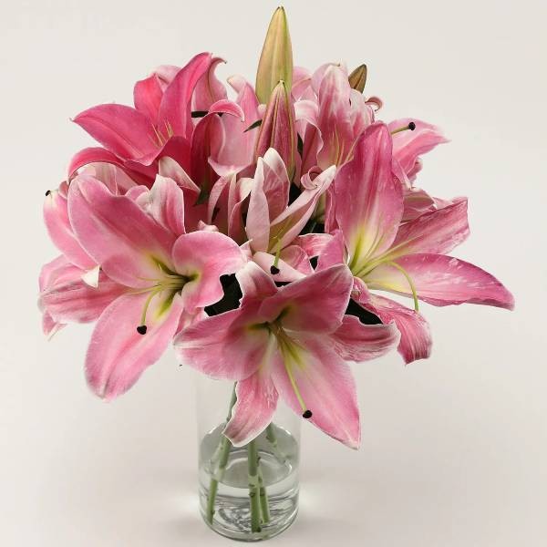 Bouquet of Pink Oriental lilies 